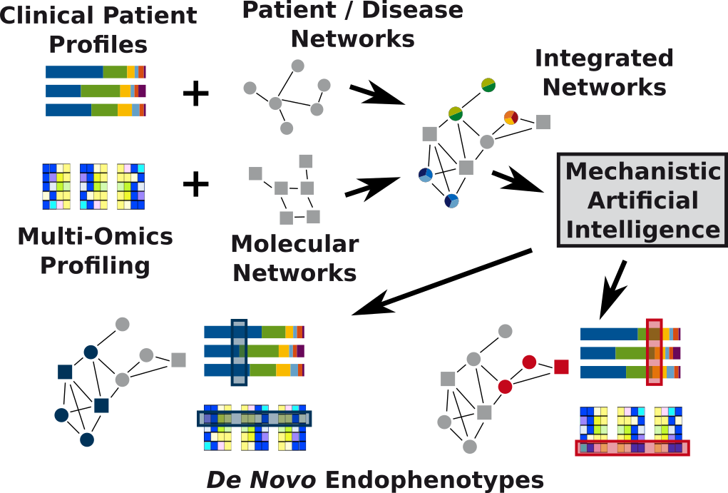 Systemmedizin