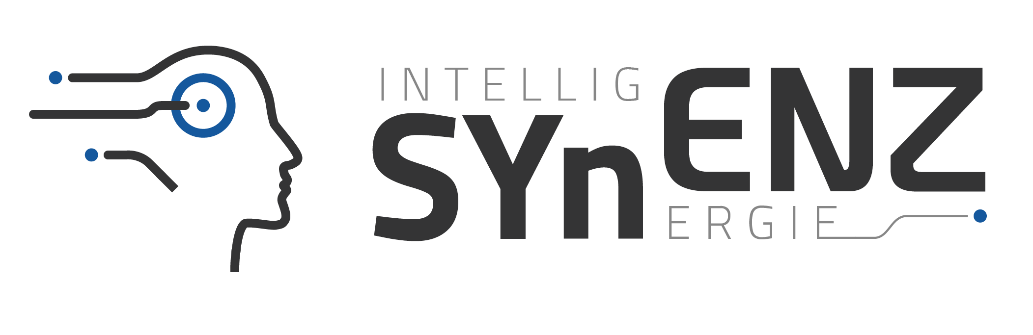 Zusammenwirken von nat&uuml;rlicher und k&uuml;nstlicher Intelligenz