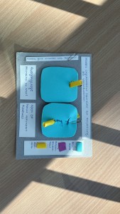 Praktische &Uuml;bung in der Vorlesung &bdquo;Medizin 1&ldquo;: Studierende entwickeln Simulationsmodelle der Harnblasenventile